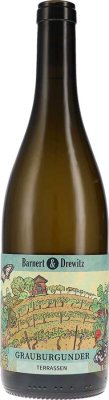 Barnert & Drewitz - Grauburgunder Terrassen trocken Starkenburger Landwein 2024