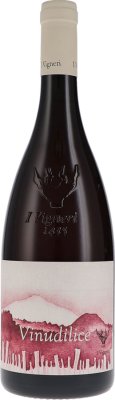 I Vigneri di Salvo Foti - Vinudilice Rosato VDT ( 2023 )