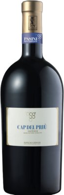 Pasini - Cap del Priu Valtenesi Riviera del Garda Classico DOC 2022 - BIO