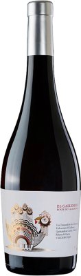 Valdemonjas - El Gallinero Rosée de Valdemonjas Ribera del Duero D.O. 2025 - BIO
