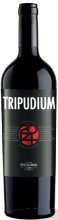 Cantine Pellegrino - Tripudium Nero d Avola Terre Siciliane IGT 2015