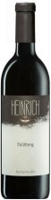 Heinrich - Salzberg 2016 - BIO